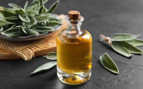 Come fare liquore alla salvia - ricetta facile per un digestivo profumato e aromatico