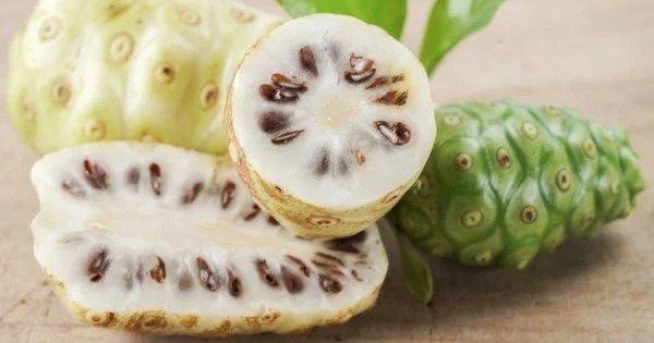 I benefici impressionanti del succo di Noni - HERBANICA