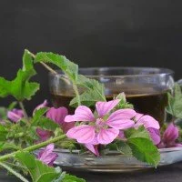 Tisana in Foglie alla Malva, Tè Infusi, Gusti d'Aprile