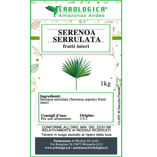 Serenoa serrulata frutti interi