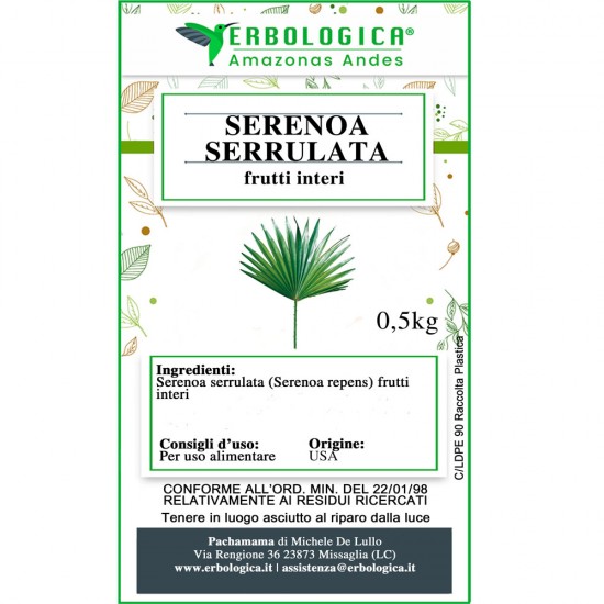 Serenoa serrulata frutti interi