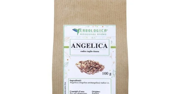 Angelica Biologica Erba Officinale in taglio tisana